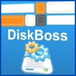 DiskBoss Pro Ultimate Enterprise