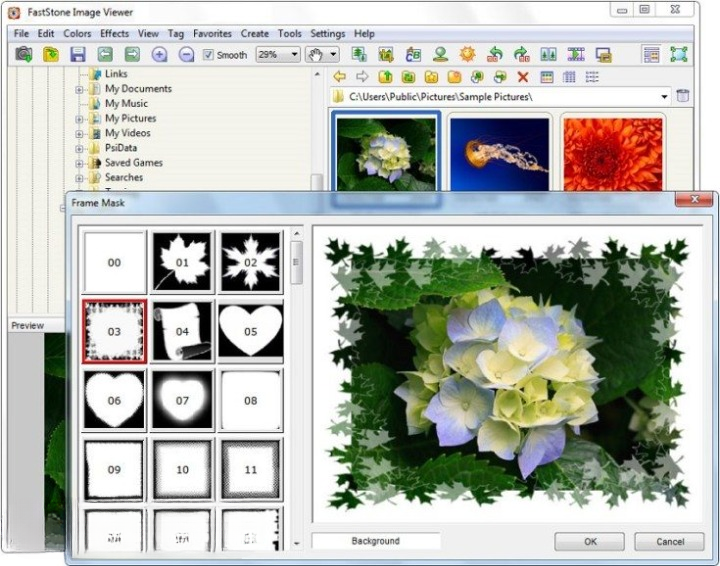 FastStone Image Viewer crack